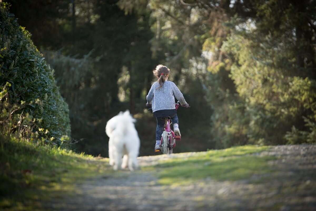 Girl bicycle