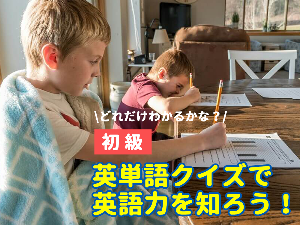 どれだけわかるかな？英単語クイズで英語力を知ろう！【初級】